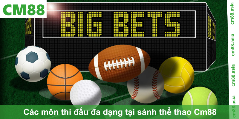 Các môn thi đấu đa dạng tại sảnh thể thao Cm88